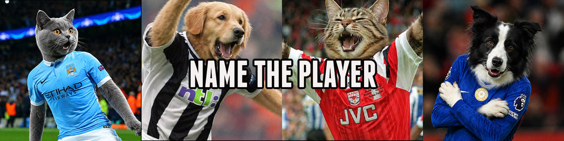 Team Dog and Cat Quiz: Can You Name These Footballers?