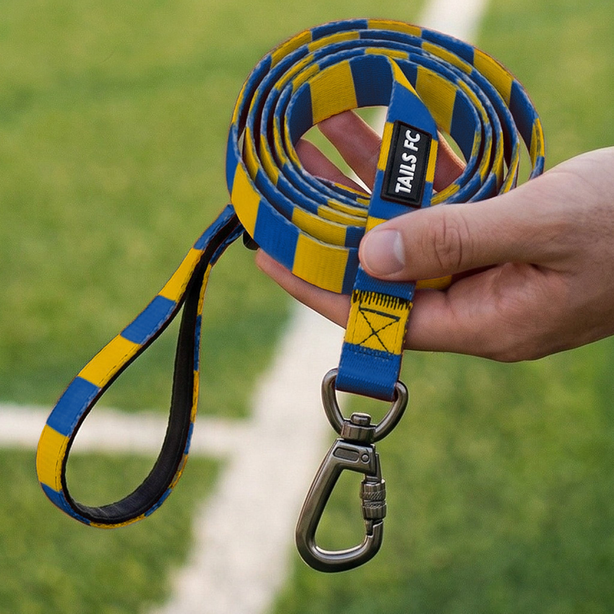 Yellow and Blue Pet Lead - Yellow & Blue Stripe Football Pet Lead