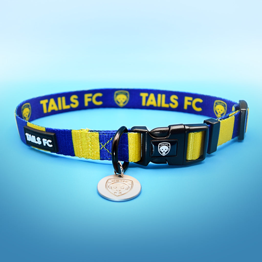 Yellow and Blue Dog Collar - Yellow & Blue Stripe Football Pet Collar