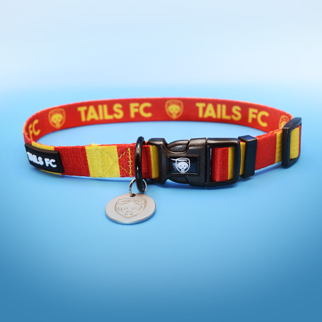 Red and Yellow Dog Collar - Red & Yellow Stripe Football Pet Collar