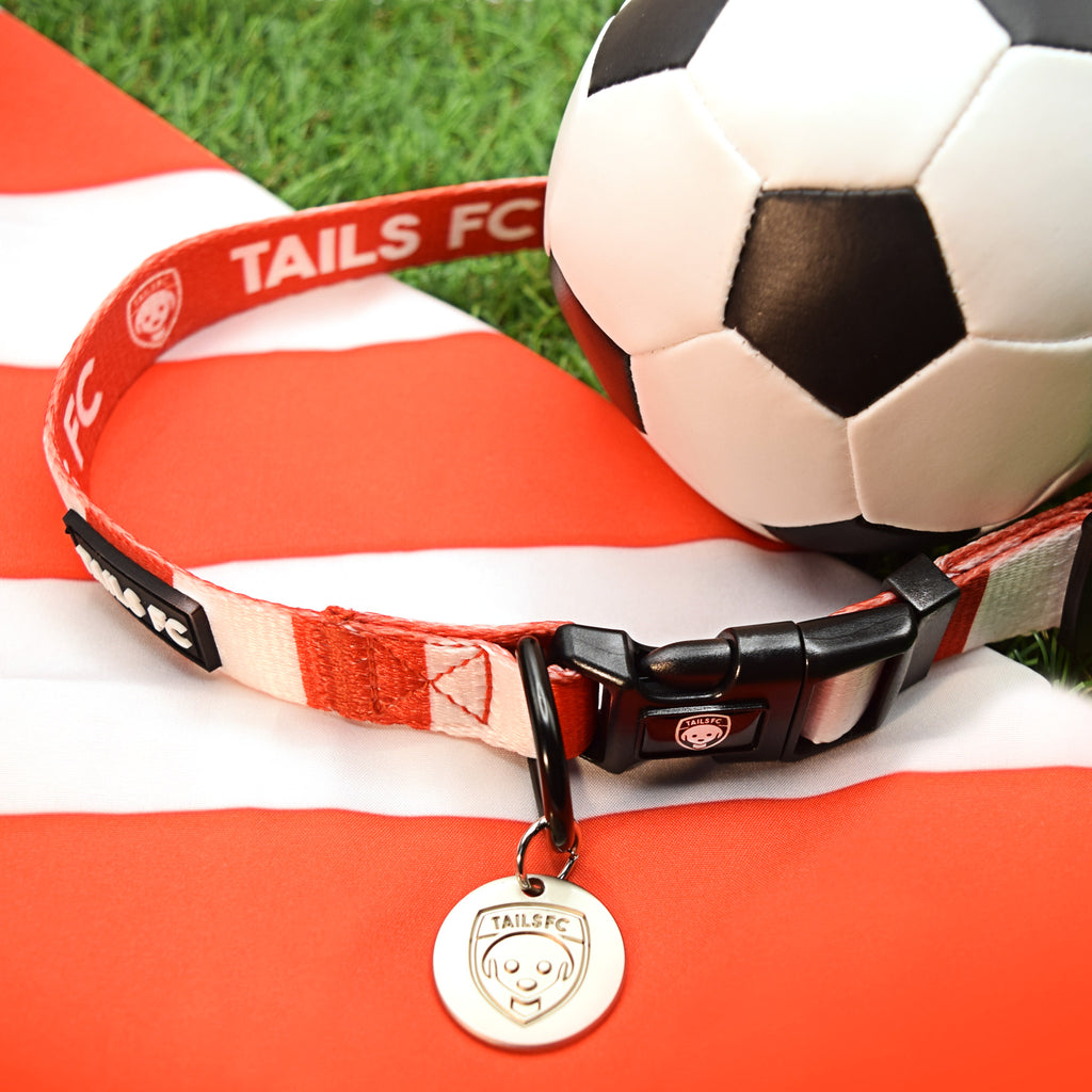 Red and White Dog Collar - Red & White Stripe Football Pet Collar
