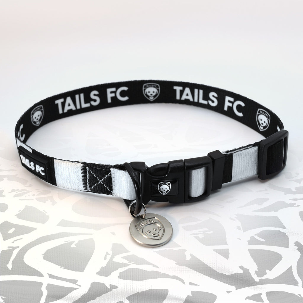 Fulham black and white striped dog collar.