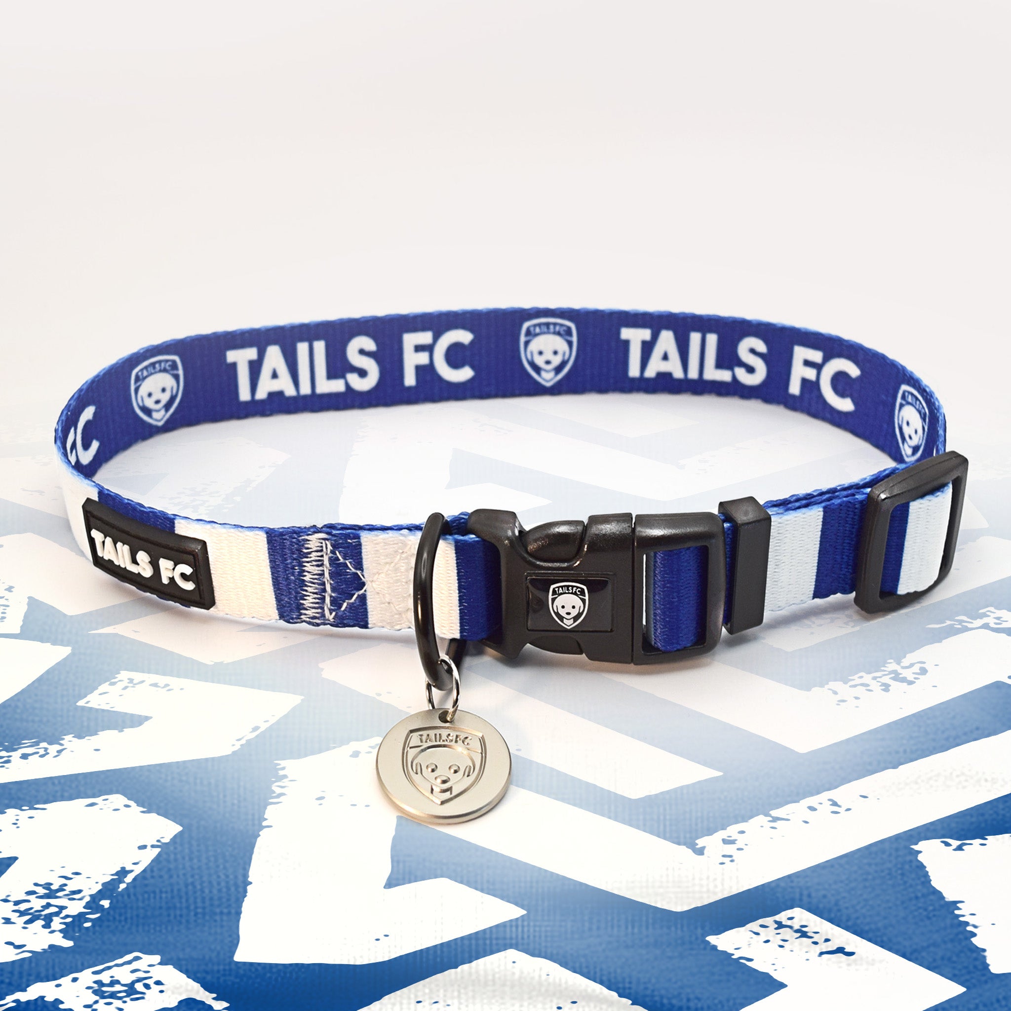 Brighton blue and white striped dog collar.