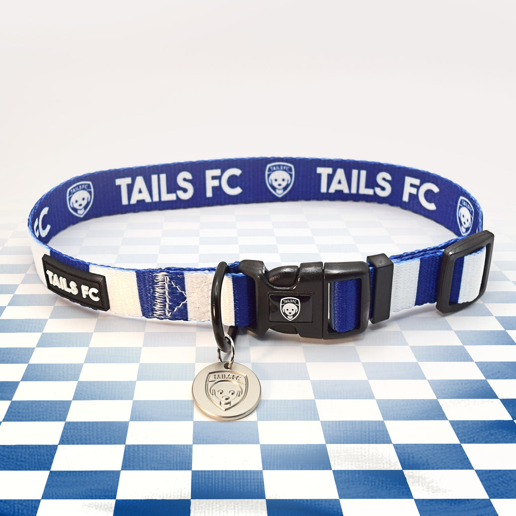 Everton blue and white striped dog collar.