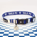 Everton blue and white striped dog collar.