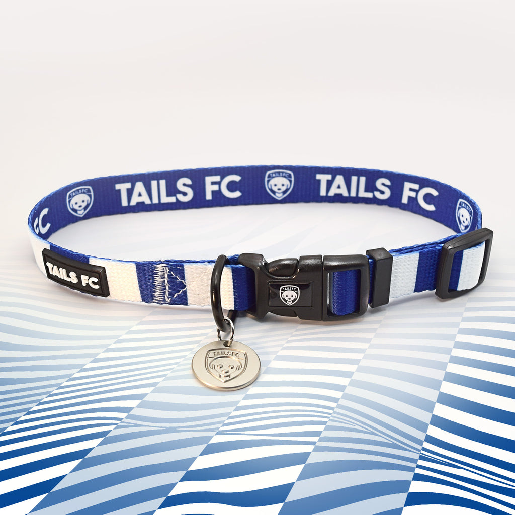 Leicester Blue and white stripe dog collar with 'TAILS FC' logo