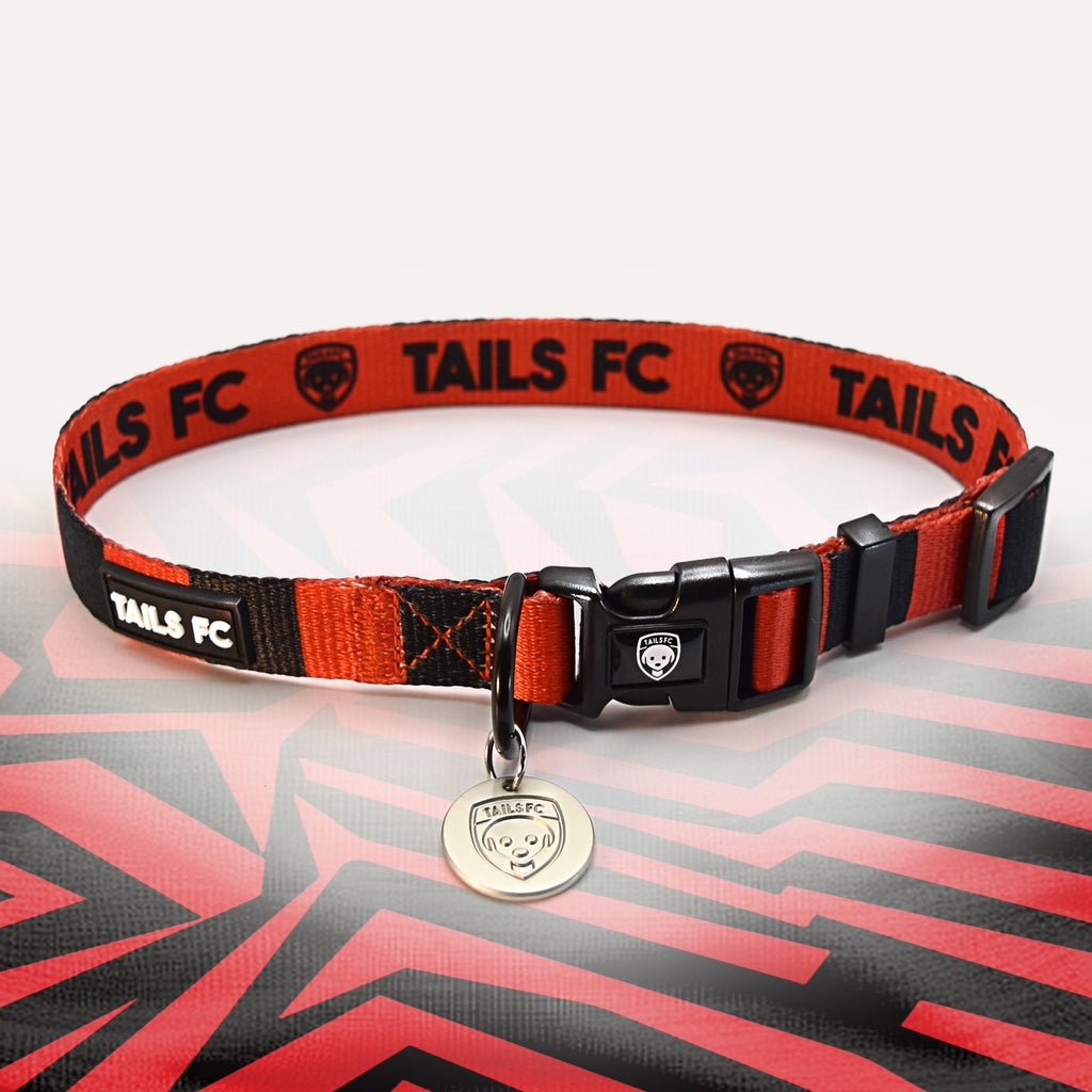 Bournemouth red and black striped dog collar.