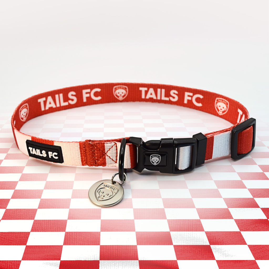 Sunderland red and white striped dog collar.