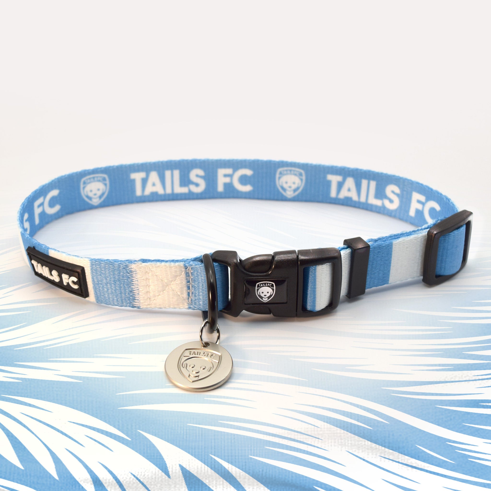 Coventry Dog Collar in Sky Blue and White stripes.