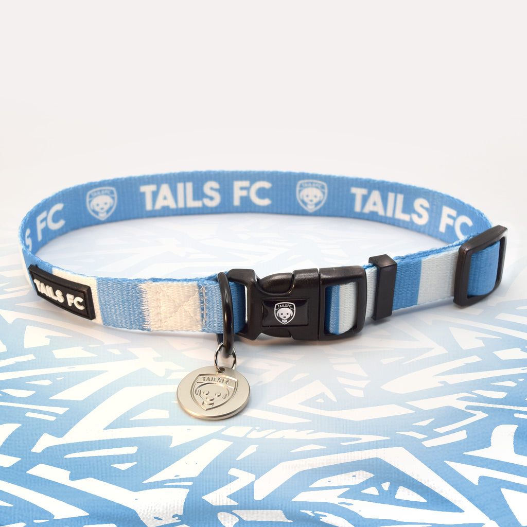 Manchester City sky blue and white striped dog collar.