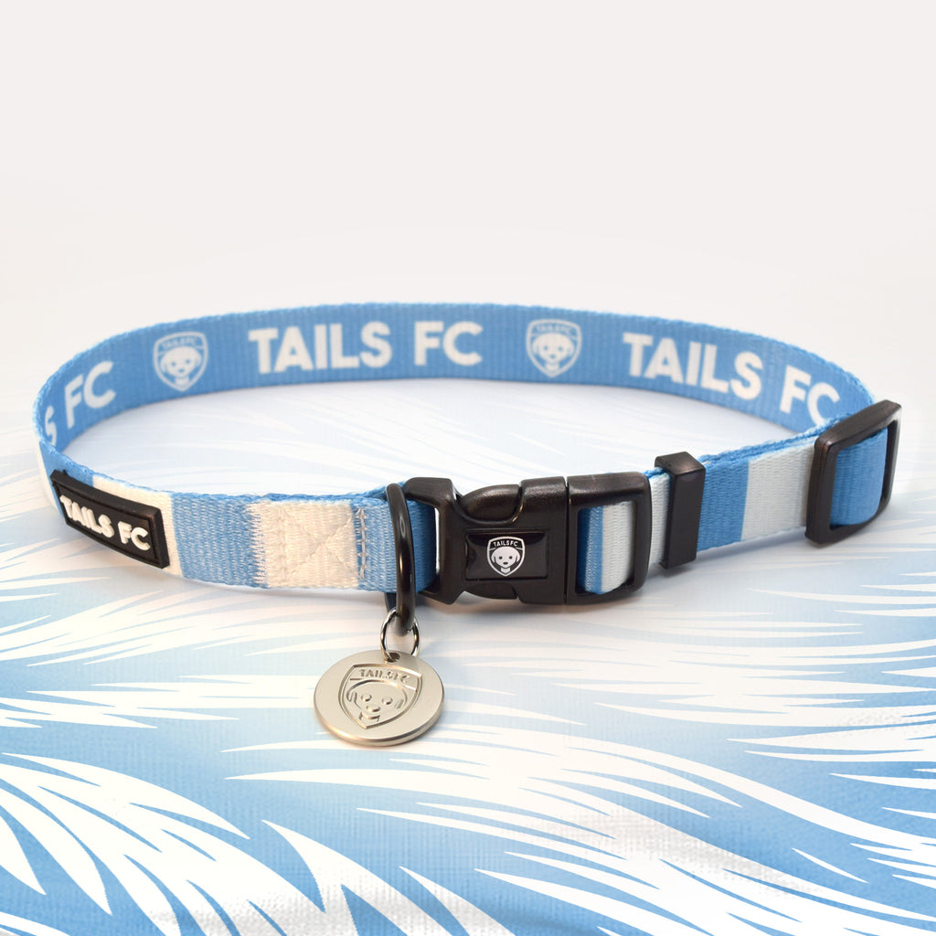 Sky blue and white stripe dog collar with 'TAILS FC' logo