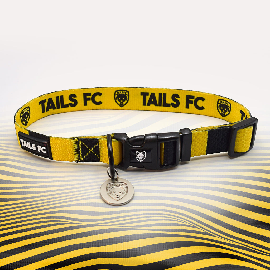Wolverhampton yellow and black striped dog collar.