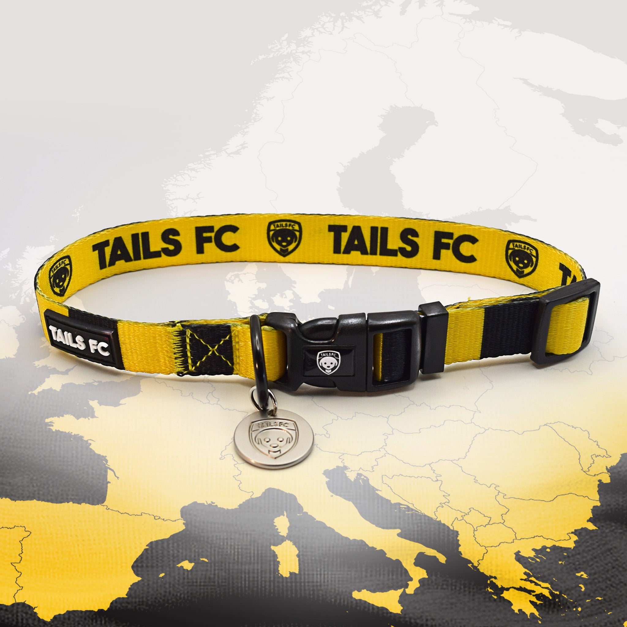 Borussia Dortmund Yellow and black stripe dog collar with 'TAILS FC' logo