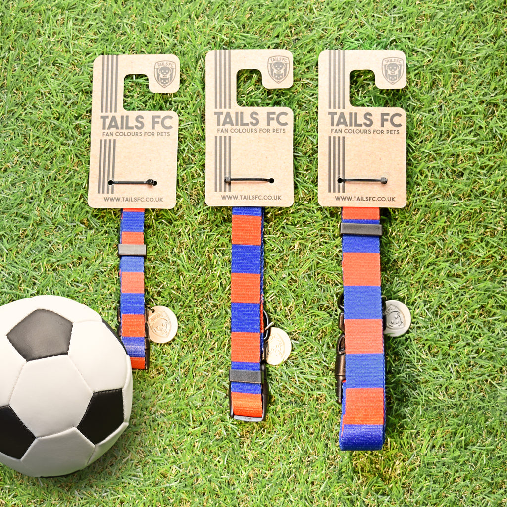 Red and Blue Dog Collar - Red & Blue Stripe Football Pet Collar