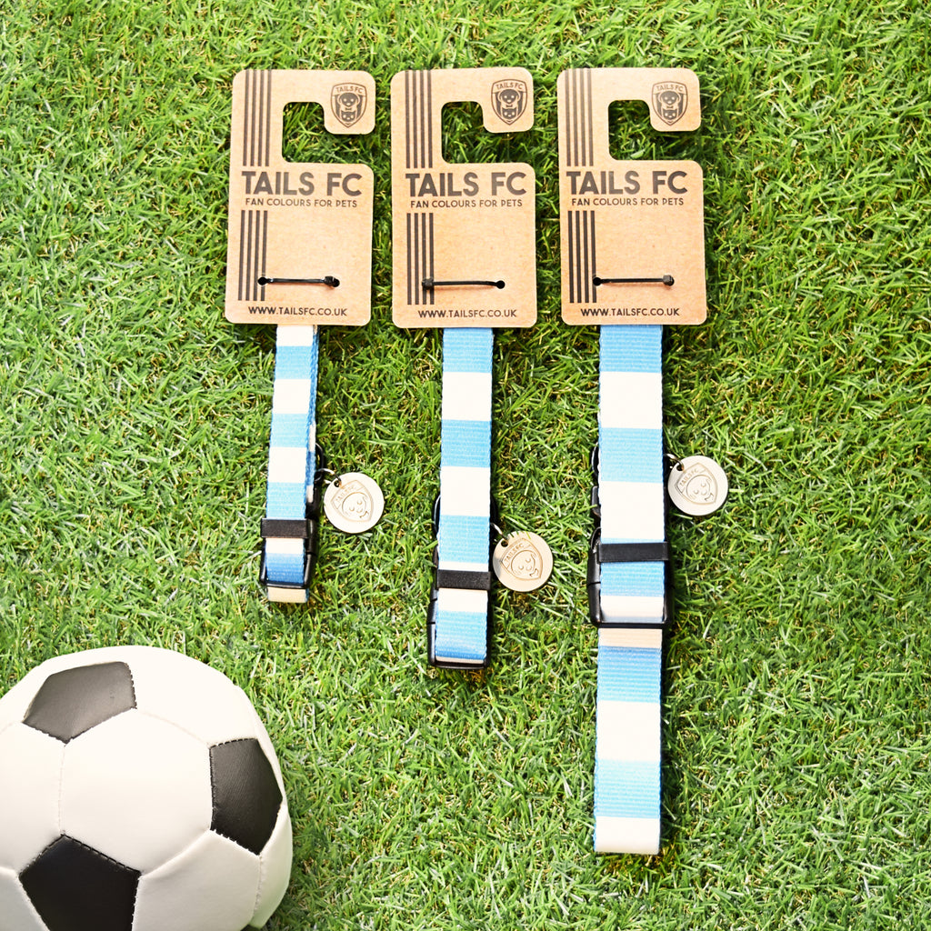 Sky Blue and White Dog Collar - Sky Blue & White Stripe Football Pet Collar