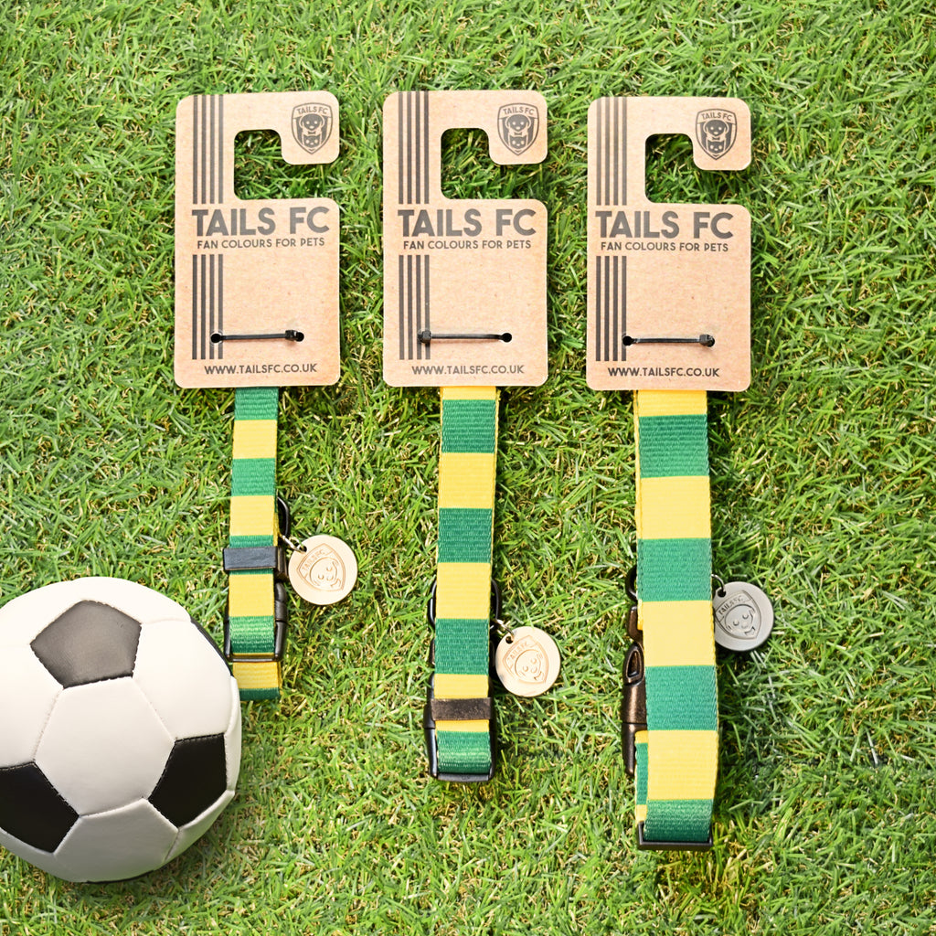 Yellow and Green Dog Collar - Yellow & Green Stripe Football Pet Collar