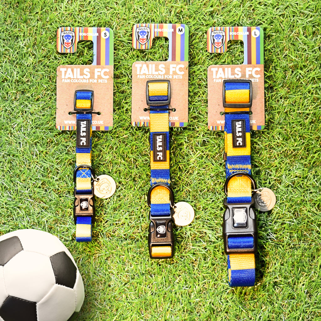Yellow and Blue Dog Collar - Yellow & Blue Stripe Football Pet Collar