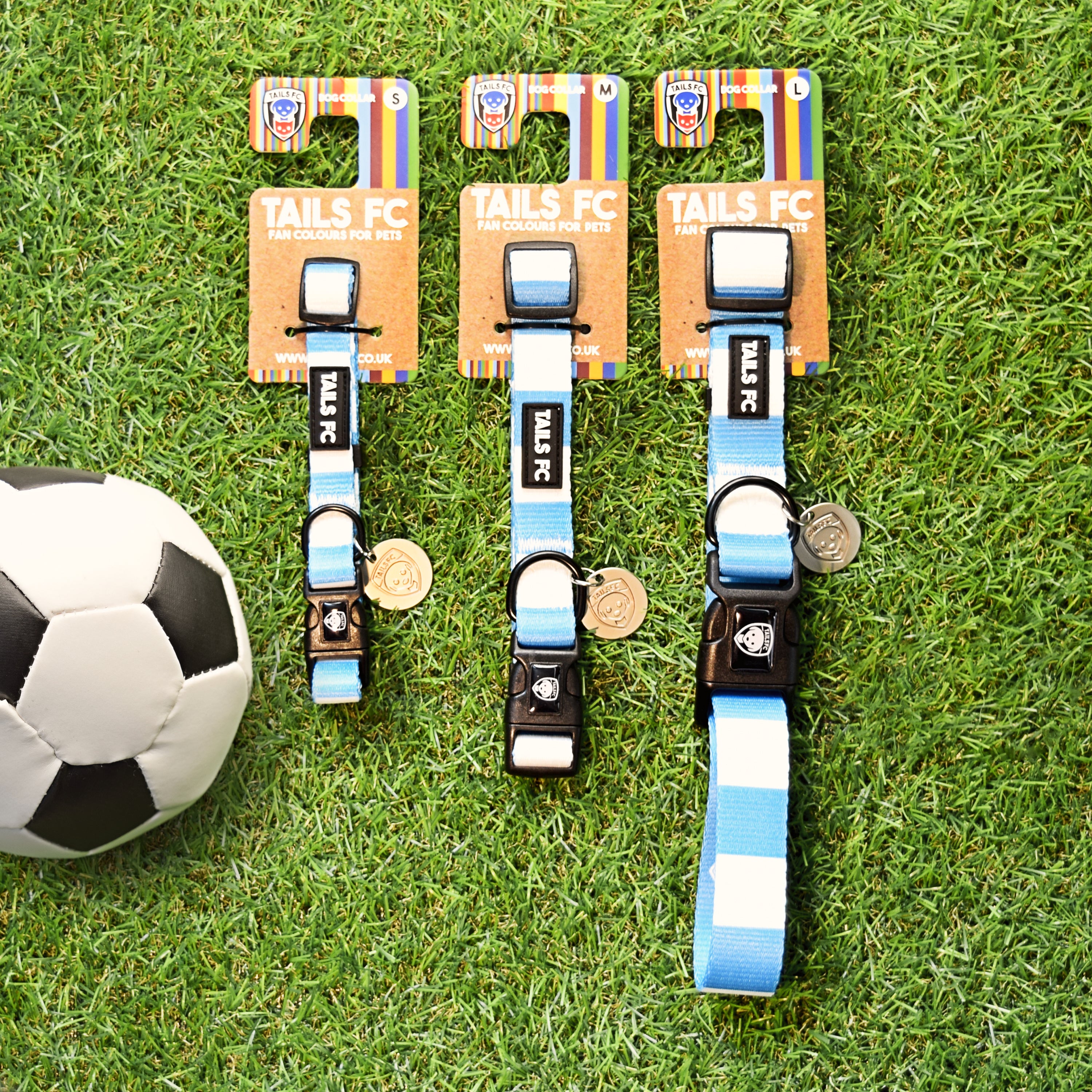 Sky Blue and White Dog Collar - Sky Blue & White Stripe Football Pet Collar