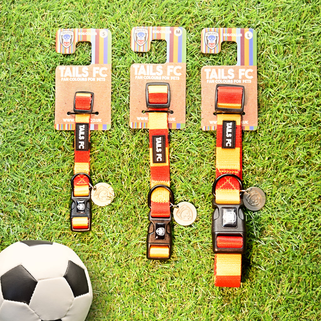 Red and Yellow Dog Collar - Red & Yellow Stripe Football Pet Collar