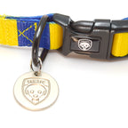 Yellow and Blue Dog Collar - Yellow & Blue Stripe Football Pet Collar