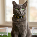 Yellow and Black Cat Collar - Yellow & Black Stripe Football Pet Collar