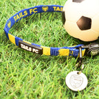 Yellow and Blue Cat Collar - Yellow & Blue Stripe Football Pet Collar