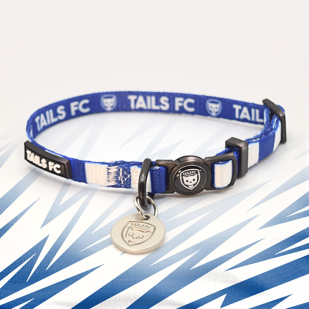 Ipswich Cat Collar in Blue and White Stripes.