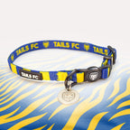 Leeds blue and yellow striped cat collar.