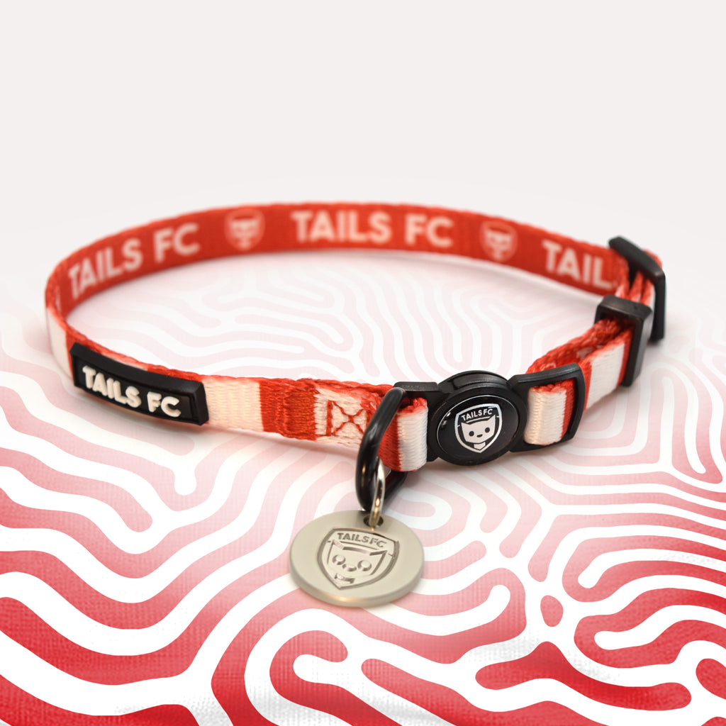 Nottingham Forest red and white striped cat collar.