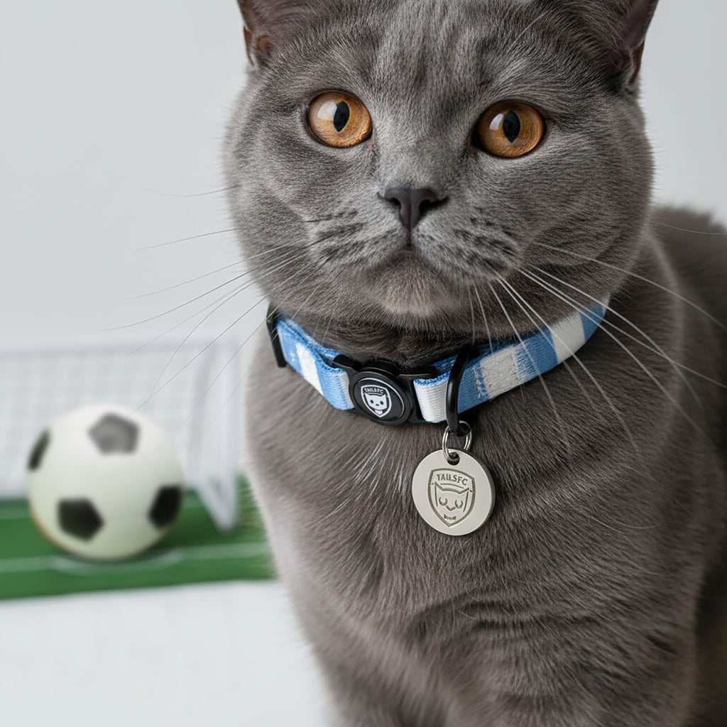 Sky Blue and White Cat Collar - Sky Blue & White Stripe Football Pet Collar