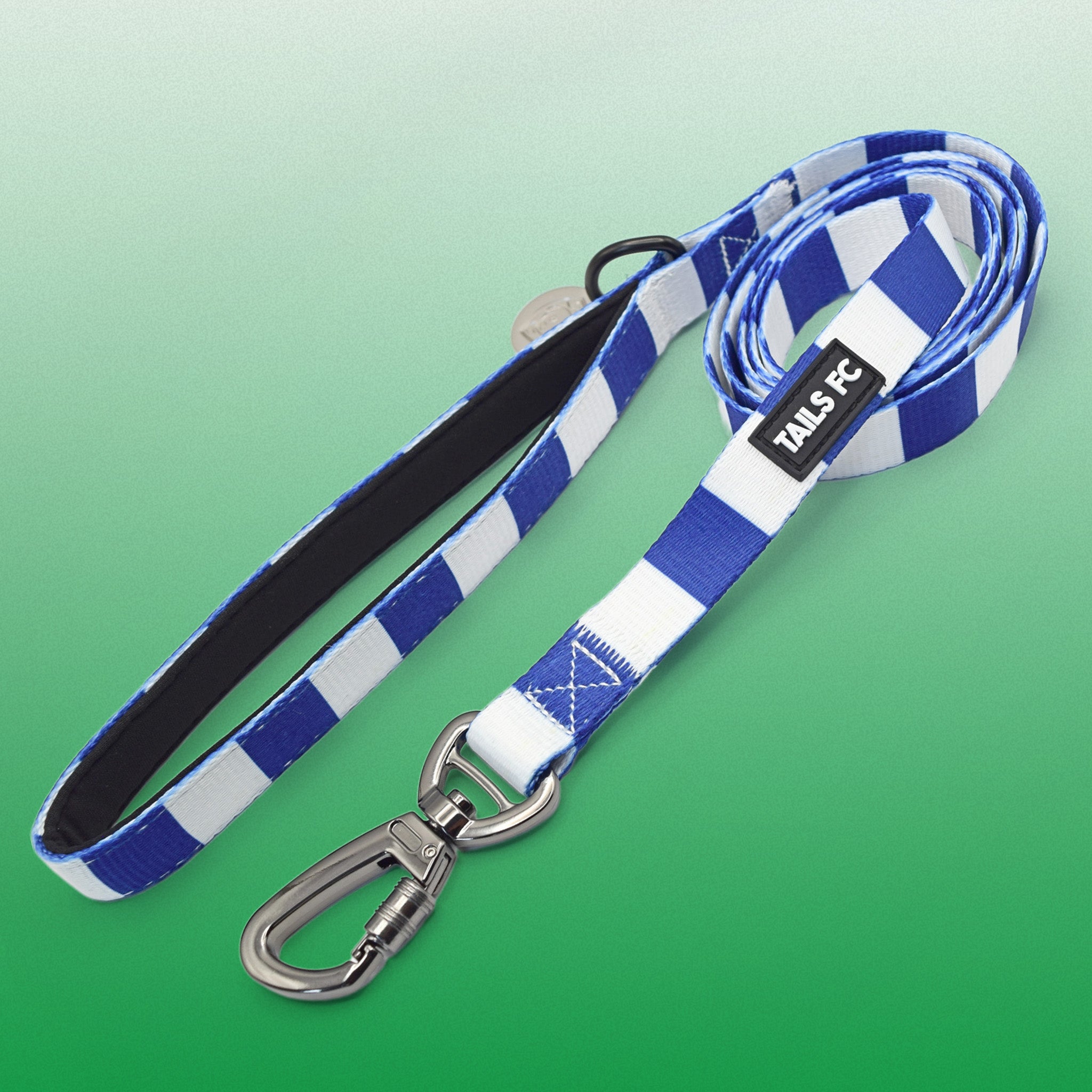 Blue and White Pet Lead - Blue & White Stripe Football Pet Lead