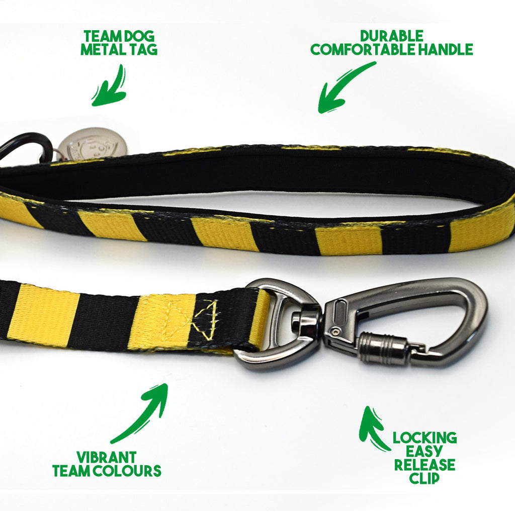 Yellow and Black Pet Lead - Yellow & Black Stripe Football Pet Lead