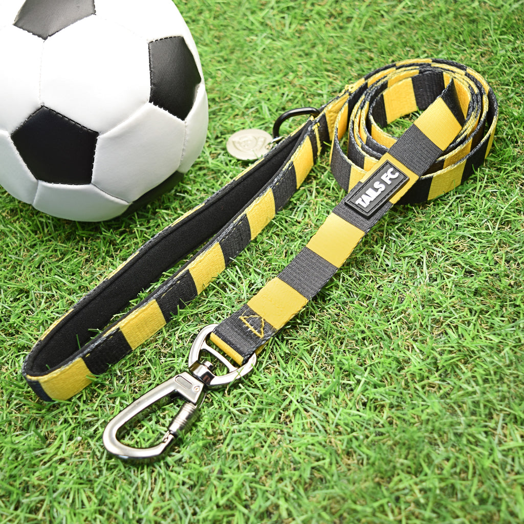 Yellow and Black Pet Lead - Yellow & Black Stripe Football Pet Lead