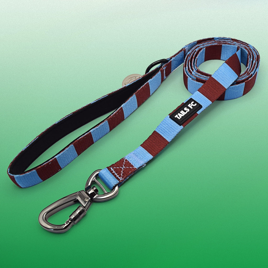 Claret and Blue Pet Lead - Claret & Blue Stripe Football Pet Lead