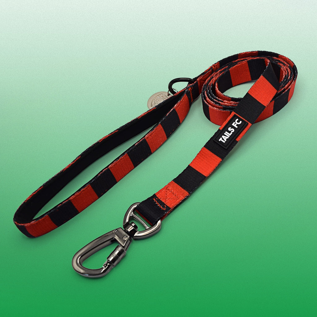 Red and Black Pet Lead - Red & Black Stripe Football Pet Lead