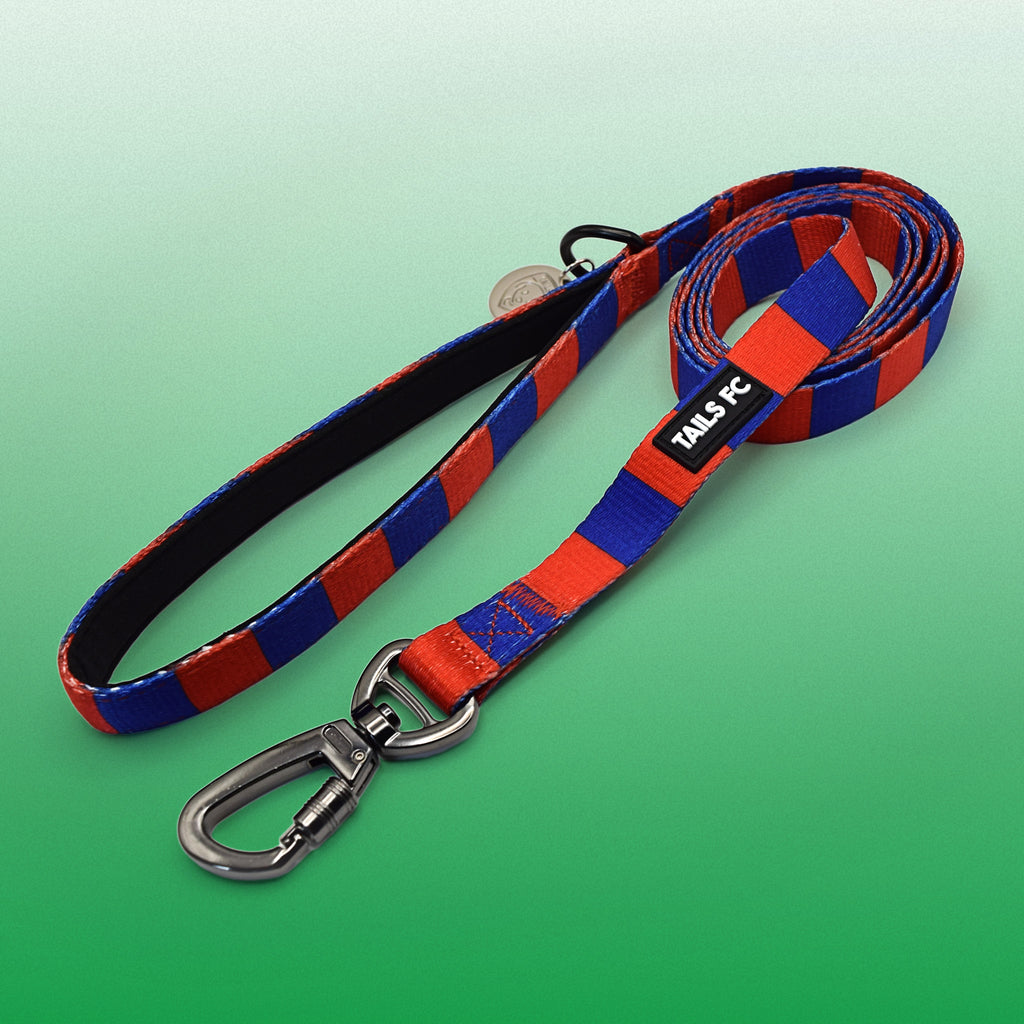 Red and Blue Pet Lead - Red & Blue Stripe Football Pet Lead
