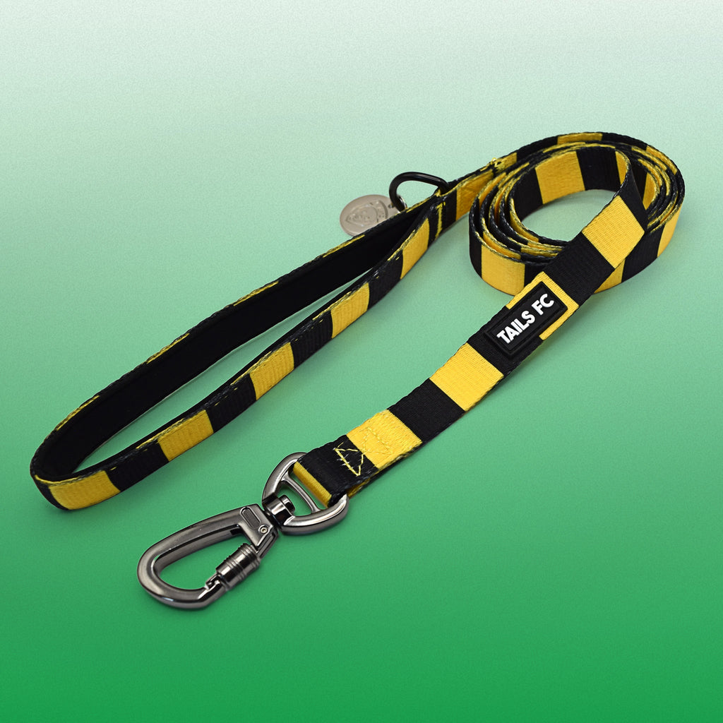 Yellow and Black Pet Lead - Yellow & Black Stripe Football Pet Lead