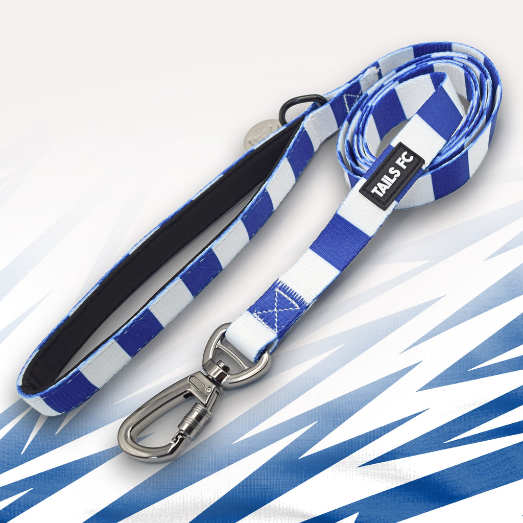 Everton blue and white striped dog lead.