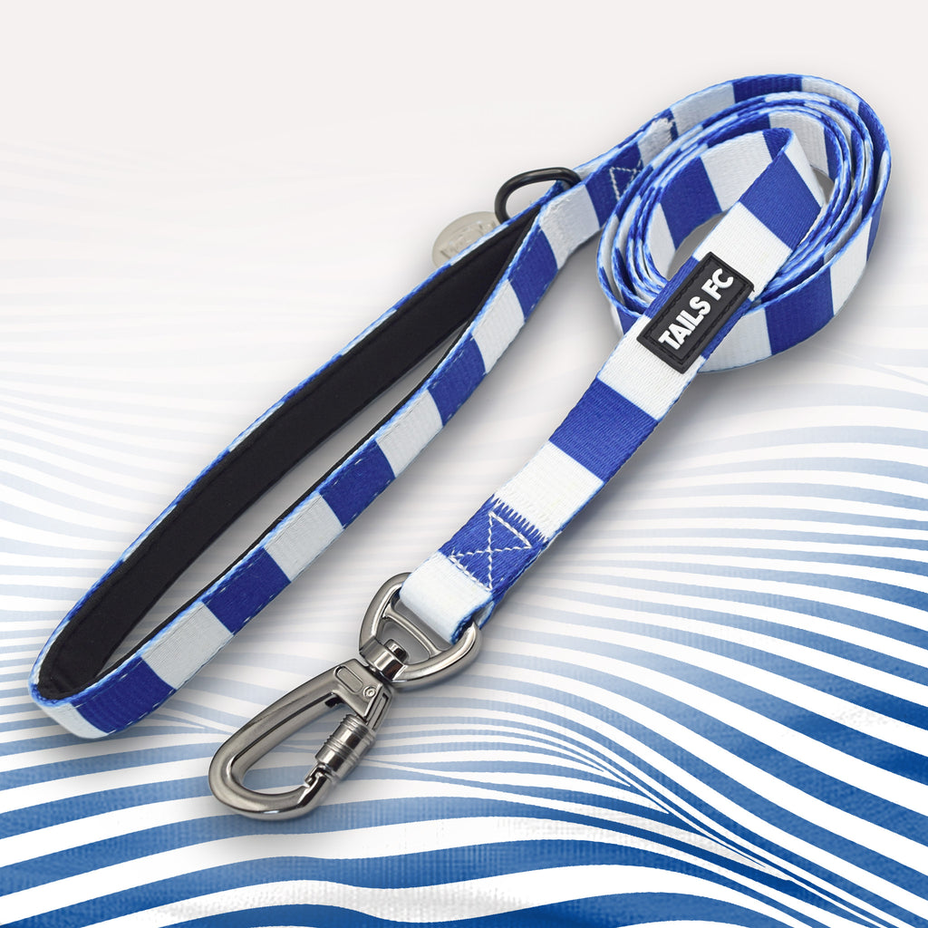 Ipswich dog lead in Blue and White Stripes.