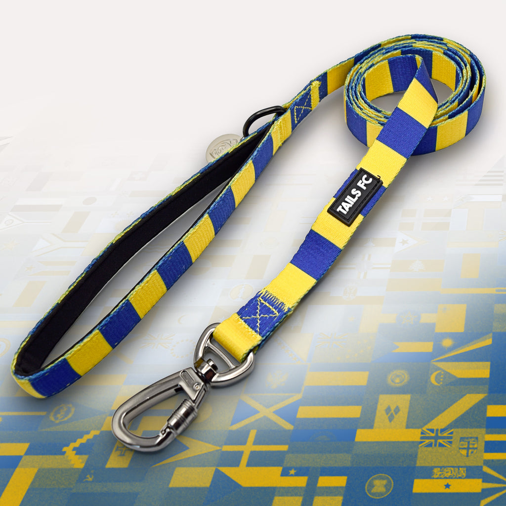 Ukraine Blue and yellow stripe dog lead with 'TAILS FC' logo