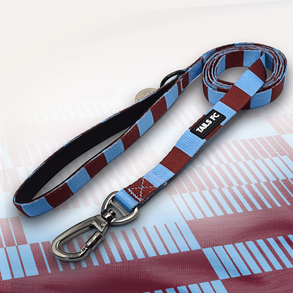 West Ham claret and blue striped dog lead.