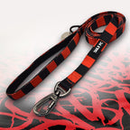 Bournemouth red and black striped dog lead.