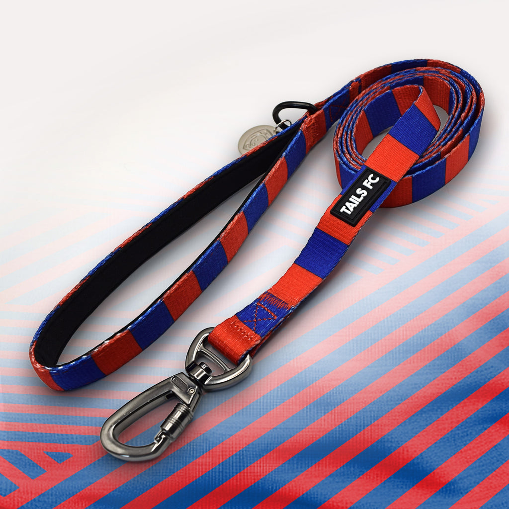 Crystal Palace blue and red striped dog lead.