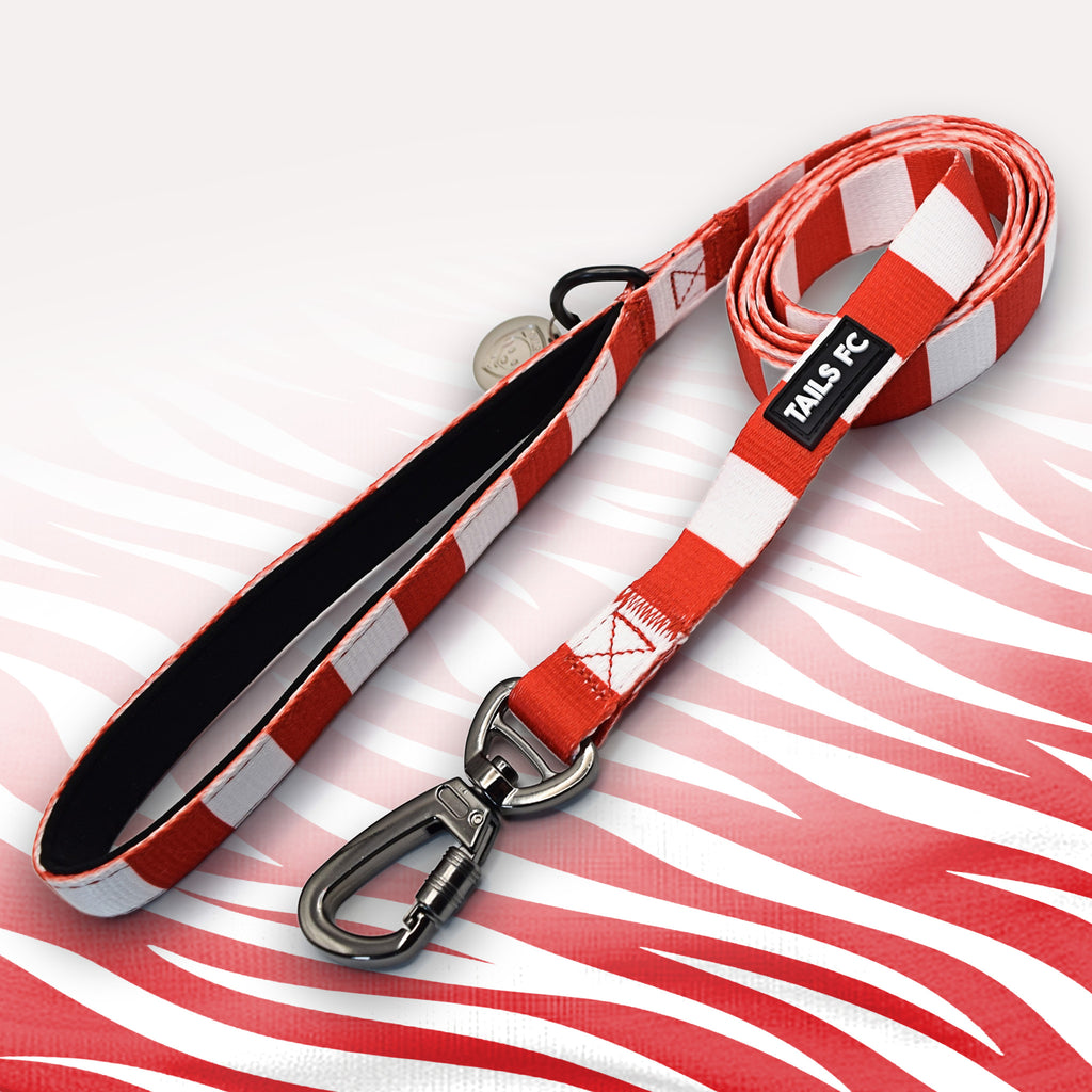 Arsenal red and white striped dog lead.
