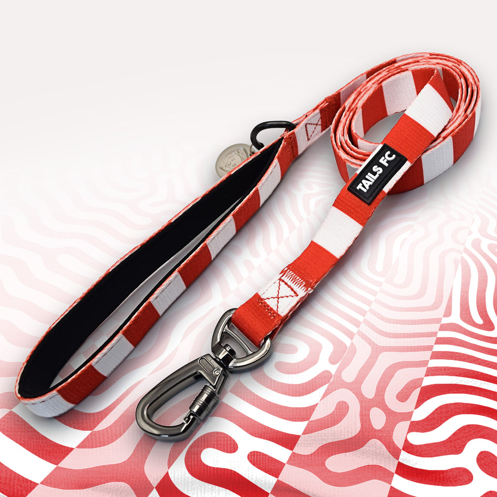 Charlton Red and white stripe dog lead with 'TAILS FC' logo