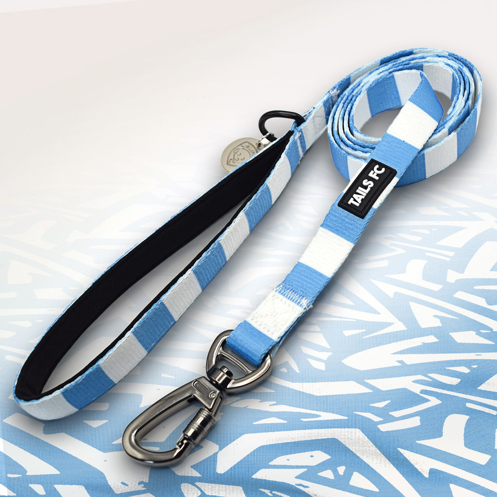 Coventry Dog Lead in Sky Blue and White stripes.