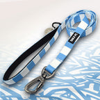 Coventry Dog Lead in Sky Blue and White stripes.