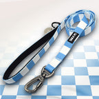 Man City sky blue and white striped dog lead.