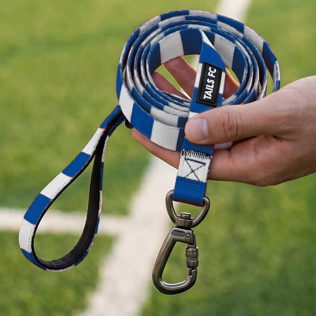 Blue and White Pet Lead - Blue & White Stripe Football Pet Lead