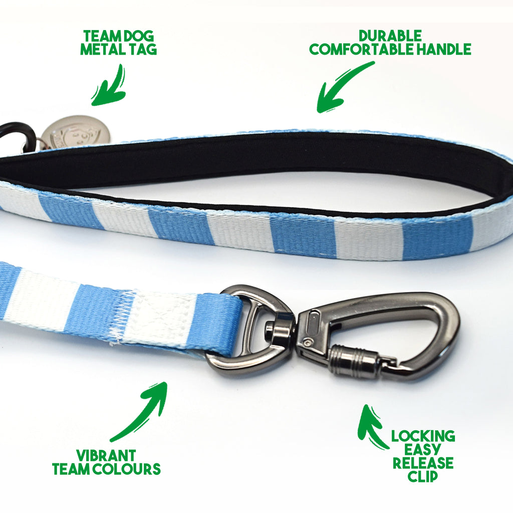Sky Blue and White Dog Set - Sky Blue & White Stripe Football Dog Collar and Leash Set